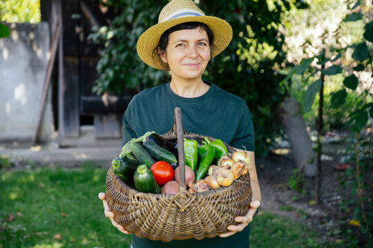 Person holding fresh harvest of garden-grown vegetables, including tomatoes, cucumbers, peppers, potatoes, and onions