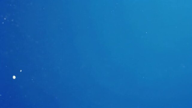 A minimalist deep blue gradient background featuring a subtle grainy texture and clean.