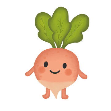 Fresh red radish with green leaves
