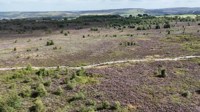 Norland Moor