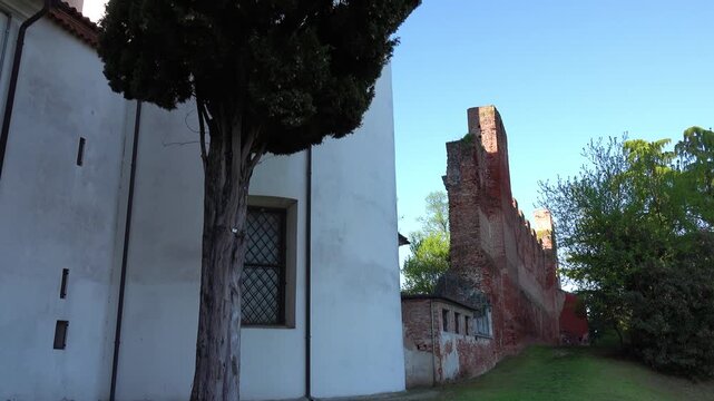 Tree in front of an old brick building. Bassano del Grappa, Vicenza province, Veneto, northern Italy.