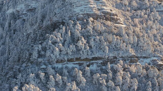 Snow Covered Forest and Mountain Slope in the Pyrenees
