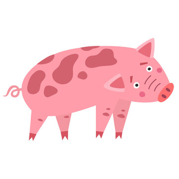 Cute pink spotted pig illustration with a curly tail, four legs, pointed ears, expressive eyes and a rounded snout, isolated on a transparent background.