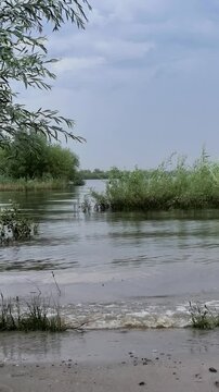 Inundated riverbank with submerged bushes under a cloudy sky, high water flooding, natural disaster, overcast river landscape.