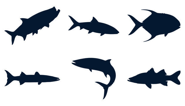 Game Fish Silhouette Set Featuring Tarpon Bonefish Permit Barracuda Tuna and Snook Vectors for Saltwater Fishing Tournaments Logos and Marine Graphics
