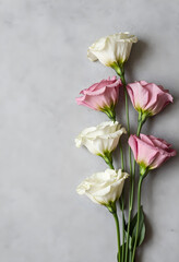 Obraz premium Floral background with pink and white eustoma flowers, delicate bloom and natural beauty, copy space for text