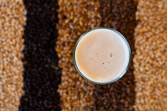 Top view of a beer glass with foam and blurred background of barley and wheat of different varieties
