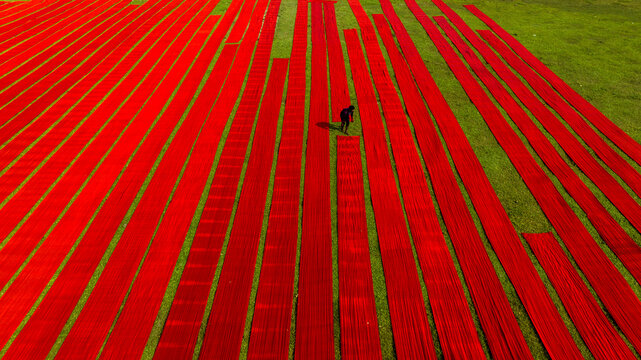 Narsingdi, Bangladesh - 19 November 2022: Aerial view of long strips of vibrant red fabric laid out on a green field to dry, with a worker walking between the rows.