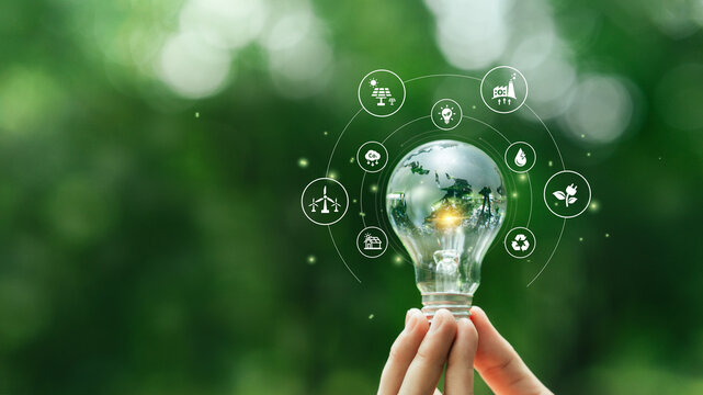 Green energy renewable transition concept. Hand holding globe in light bulb with icons of Sustainable environment and eco-friendly technology. sustainability energy innovation