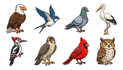 Obraz premium Cartoon Bird Vector Icon Set Featuring Eagle Swallow Pigeon Stork Woodpecker Falcon Cardinal and Owl Illustrations for Kids Educational Graphic Designs