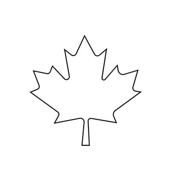 Simple black and white outline of a maple leaf icon.