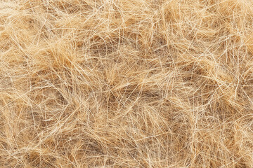 Obraz premium Dry Yellow Grass Hay Field Texture Background