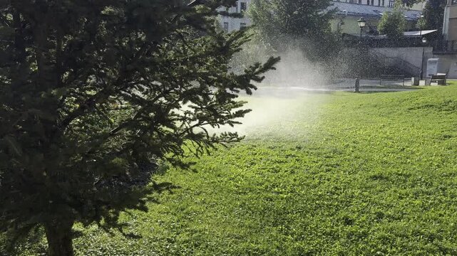 Moscow, Russia, August 3, 2026. A watering fountain in Ivanovskaya Gorka Park sprays water over the grass on a sunny summer day. Bright sunlight, green lawn, and refreshing water spray create a peacef