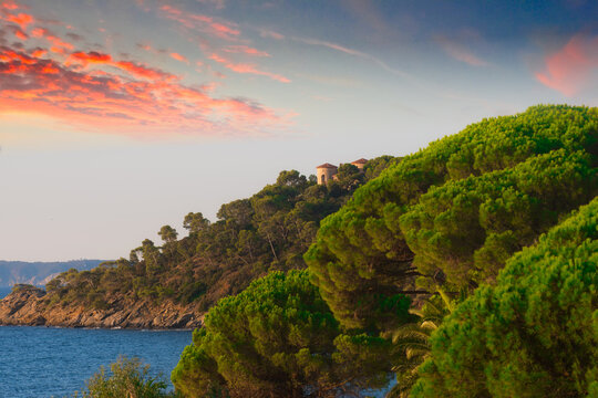 Cavaliere Plage, Cavalaire-sur-Mer, Var, Provence-Alpes-Cote d'Azur, Provence, France, Mediterranean, Europe