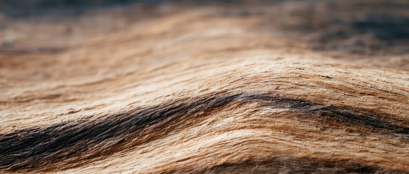 weathered timber grain macro texture rustic sustainable wood surface closeup organic fiber pattern warm earthy tone natural backdrop for wellness branding web design advertising
