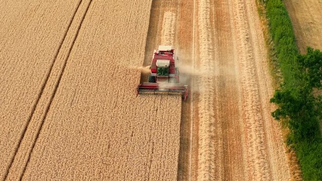 Aerial wheat field harvest with combine harvester. Harvesting machine cutting ripe grain beside straw windrows, mature crop and countryside farmland under summer conditions. Mechanized agriculture
