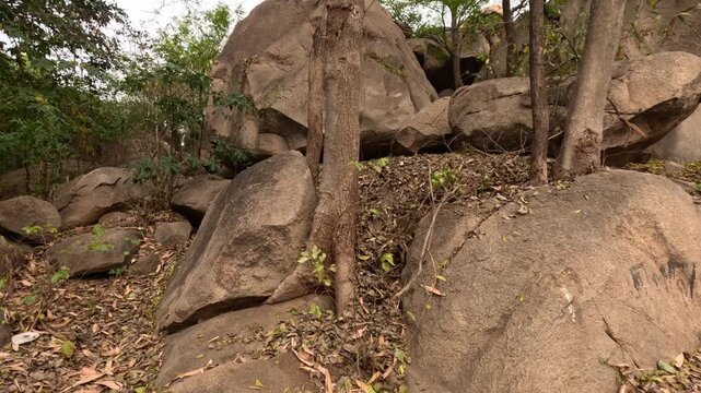Scenic View of Rocky Landscape and Trees at Mama Vagne Pahar