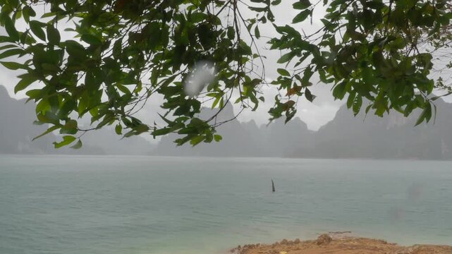 Ratchaprapha Dam on a rainy day at khao sok national park, surat thani province thailand featuring spectacular limestone mountains shrouded in mist.