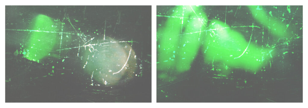 Set of green lights with transparency effect, ray overlay, color prism, rainbow crystal effect