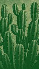Fototapeta premium Vintage green cactus mobile wallpaper
