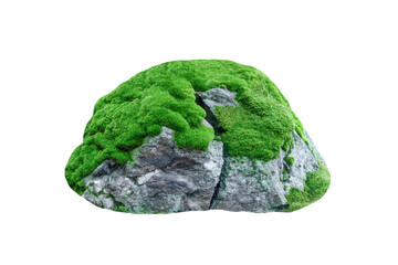 Large mossy rock boulder isolated on white background © Svitlana