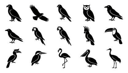 Naklejka premium Set of black silhouettes of various exotic and wild birds isolated on a white background for design