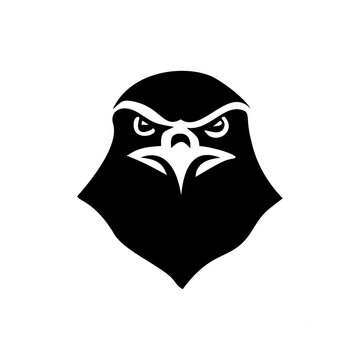 Eagle head logo vector isolated for sports mascot falcon hawk front view emblem design