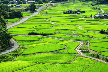 田染荘の風景 © 安ちゃん