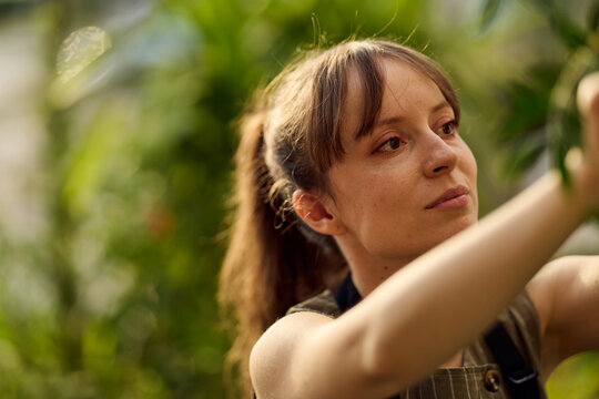 Young Woman Gardener Tending Plants in Greenhouse Wearing Apron, Focused Urban Horticulture Lifestyle