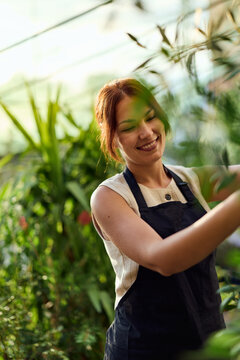 Smiling Woman Gardener Tending Plants in Greenhouse Wearing Apron, Small Business Lifestyle Portrait