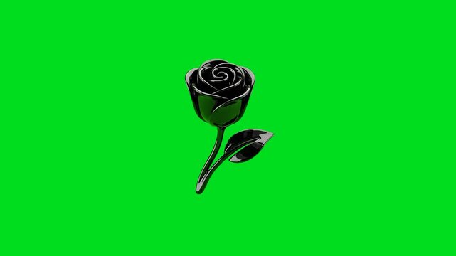 A sleek 3d rendered black metallic rose isolated on a vibrant green background