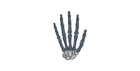 Naklejka premium Detailed illustration of a human hand skeleton showing bones and joints.