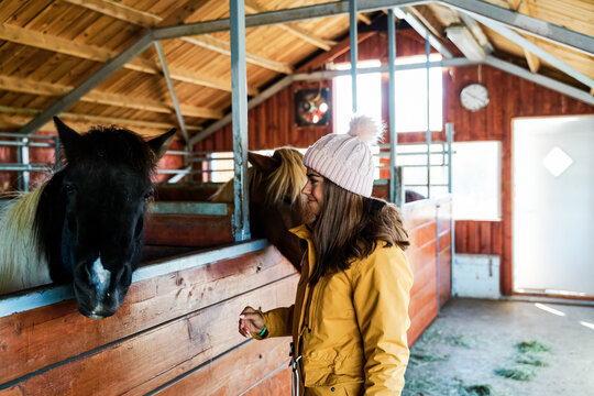 A white woman feeds horses inside a wooden stable