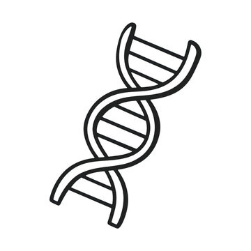 PNG Simple DNA helix illustration