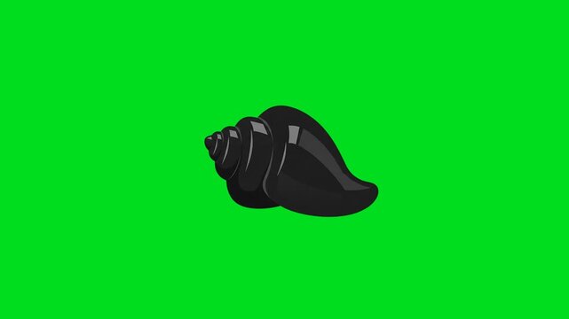A sleek black glossy seashell isolated against a bright green background