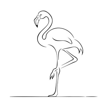 Black outline drawing of flamingo standing gracefully on one leg, capturing elegance and exotic beauty, ideal for nature designs.