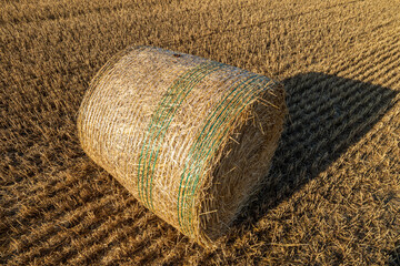 Bale lies in a yellow field during harvest season. Straws are tightly packed and secured with green twine under bright sunlight © SMK