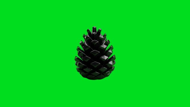 A sleek black pinecone isolated against a vibrant solid green background