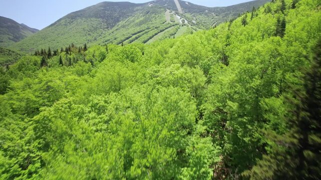 Horizon reveal in White Mountain National Forest with Echo Lake surrounded by nature and green trees in a summer day, New Hampshire