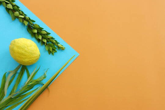 Jewish festival of Sukkot. Traditional symbols (The four species): Etrog (citron), lulav (palm branch), hadas (myrtle), arava (willow)