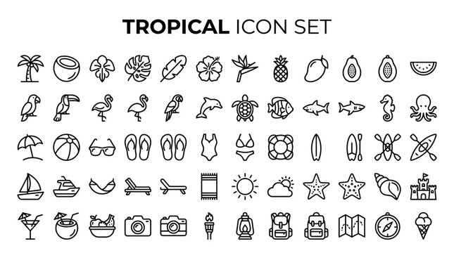 Vecton Icon Pack