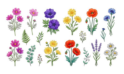 Obraz premium Watercolor wildflower collection featuring poppies daisies lavender and cosmos flowers in a hand drawn vector illustration set