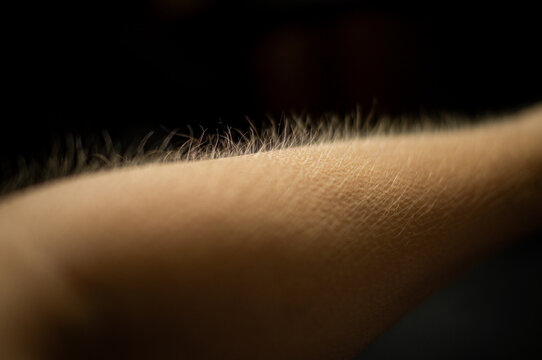 Detailed macro close-up of goosebumps on human skin, with fine body hair standing on end. A tactile texture illustrating physical responses to cold, fear, excitement, emotion and sensory stimulation.
