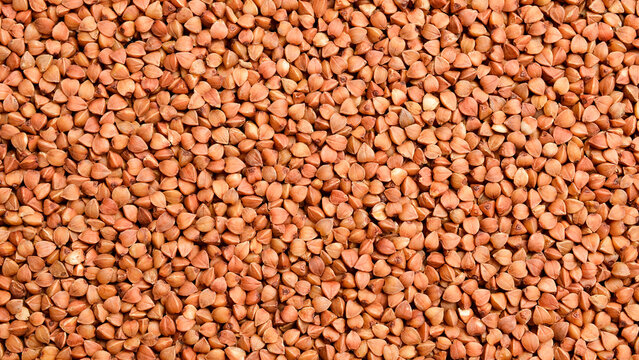 Raw roasted buckwheat groats fill the entire frame creating a textured background. Uncooked dry grains form a seamless pattern. Macro photography of organic culinary ingredient.