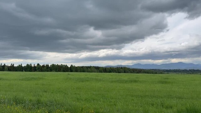 Green meadow field dark storm clouds gloomy sky distant forest mountains landscape rural nature scenery bad weather summer day countryside horizon.