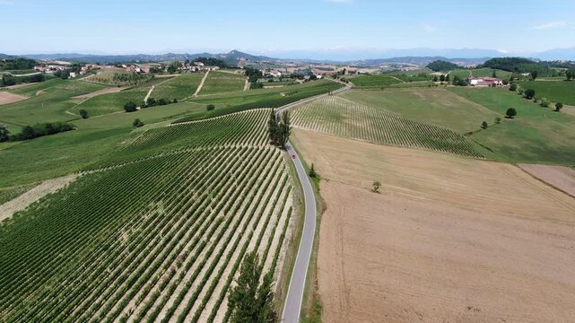 Vigneti in Monferrato, Piemonte