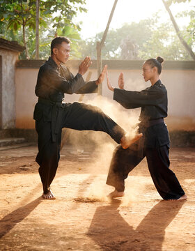 Dynamic Pencak Silat Demonstration in Courtyard