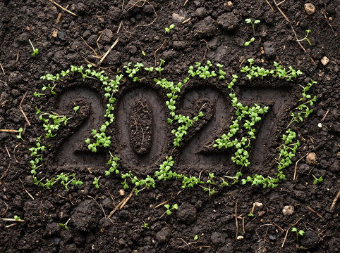 2027 sprouting plants in soil representing growth and environmental future