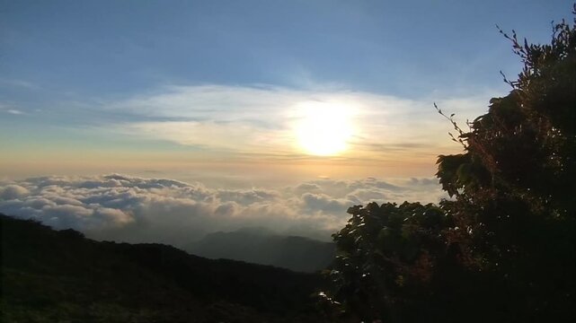 Scenic golden sunrise over a thick sea of clouds viewed from a high mountain summit with silhouetted wild plants and a bright glowing sun