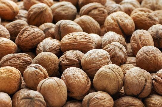 Top view of whole walnuts as background texture